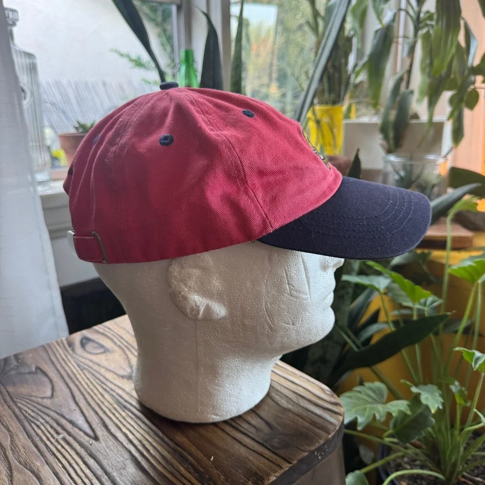 Teddy Fresh Red‎ Navy Blue Colorblock Bear Logo Embroidered Dad Hat Baseball Cap